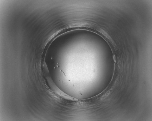 X0000067520834200604150157