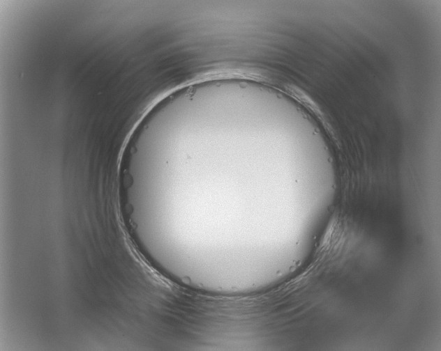 X0000067520836200604150157