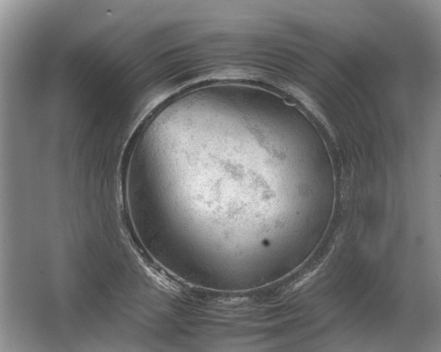 X0000067520837200604150158