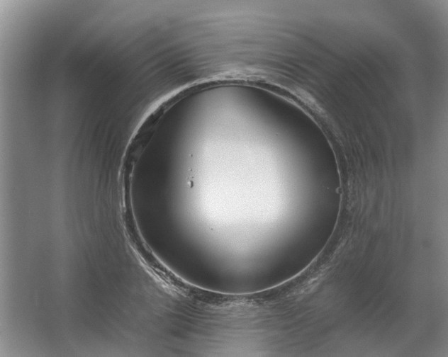 X0000067520838200604150158