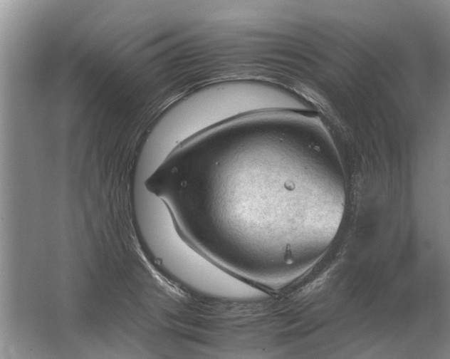 X0000067520841200604150158