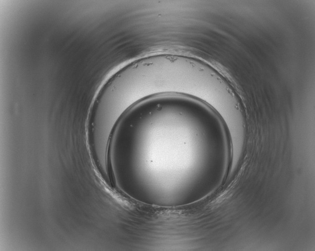 X0000067520846200604150158