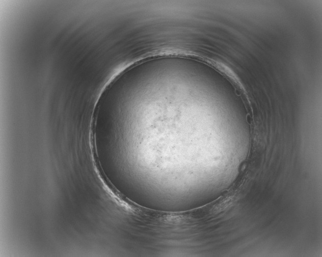 X0000067520847200604150158