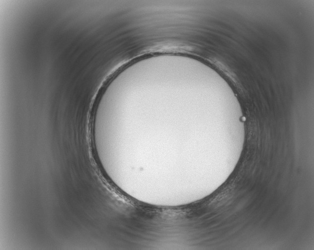 X0000067520848200604150158