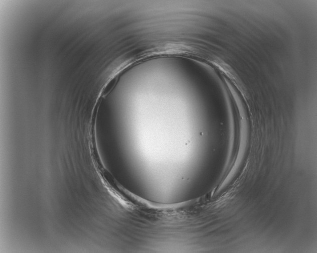 X0000067520850200604150158