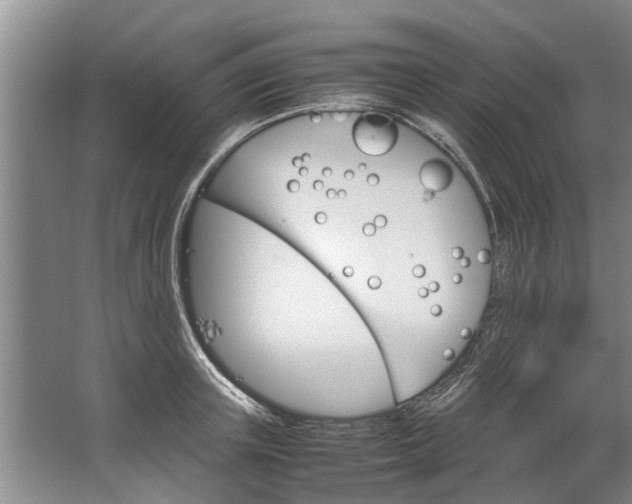 X0000067520851200604150158