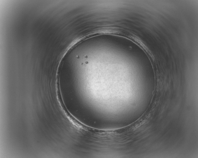 X0000067520853200604150158