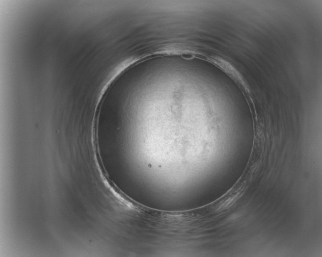 X0000067520855200604150158