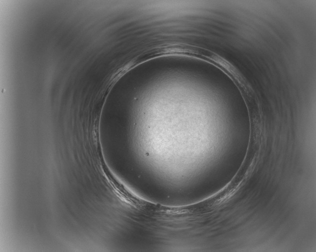 X0000067520857200604150158