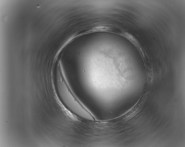 X0000067520859200604150158