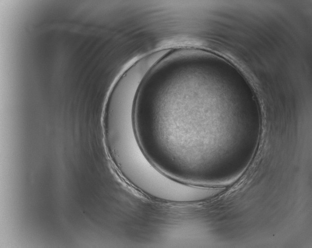 X0000067520864200604150158