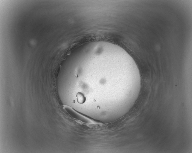 X0000067520865200604150157