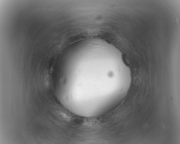 X0000067520866200604150157