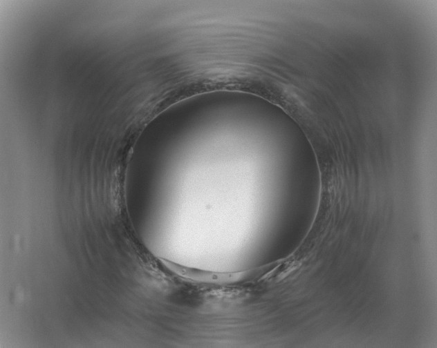 X0000067520868200604150157