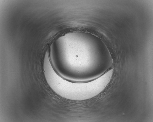 X0000067520869200604150157