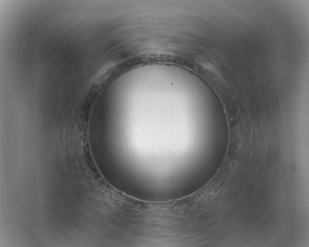 X0000067520870200604150157