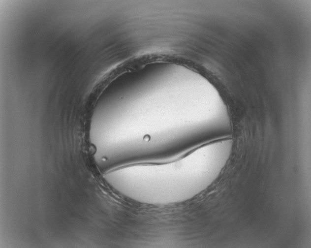 X0000067520872200604150157