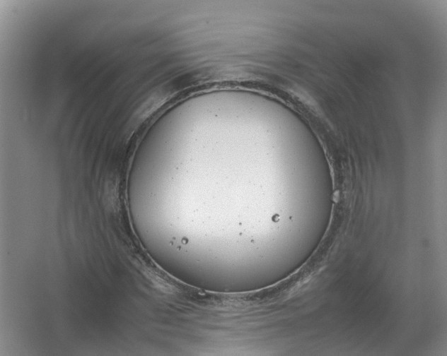 X0000067520873200604150157