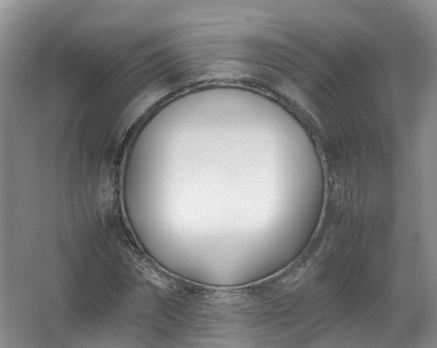 X0000067520874200604150157