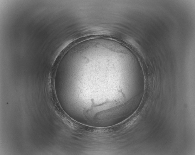 X0000067520875200604150157