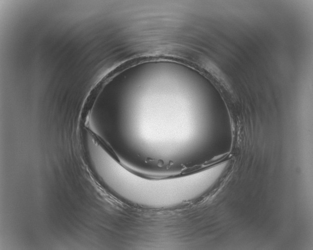 X0000067520876200604150157