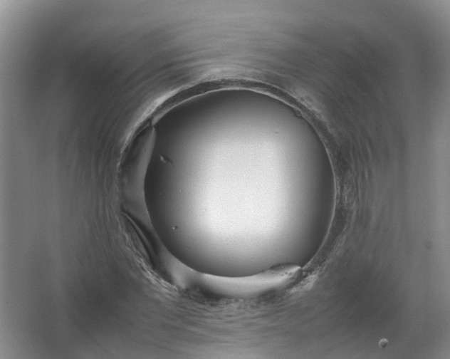 X0000067520877200604150157