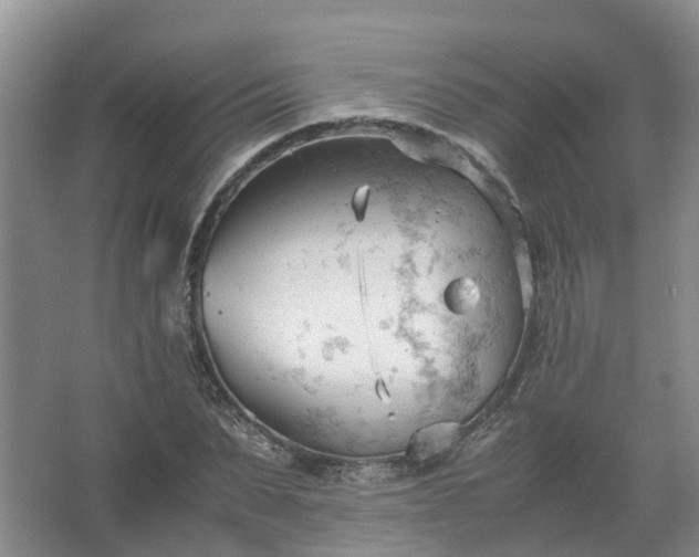 X0000067520879200604150157