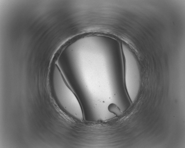 X0000067520880200604150157