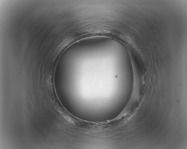 X0000067520881200604150157