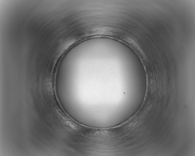 X0000067520882200604150157