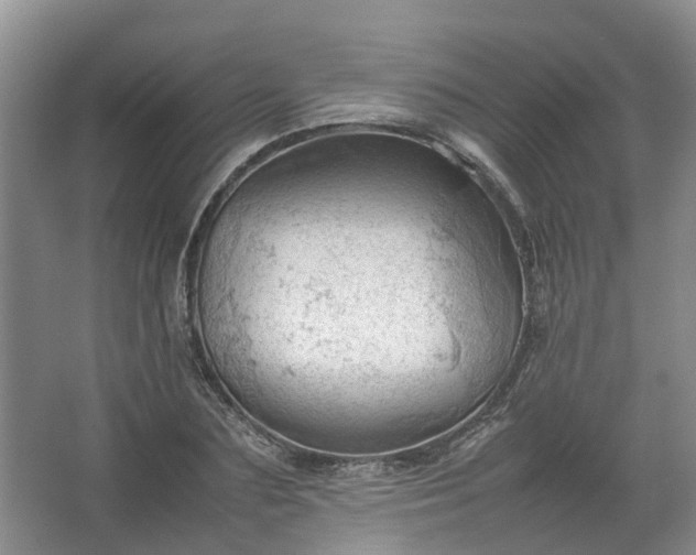 X0000067520883200604150157