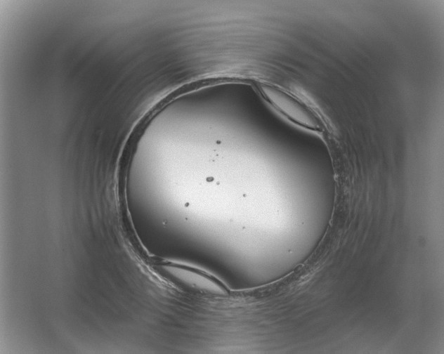 X0000067520884200604150157