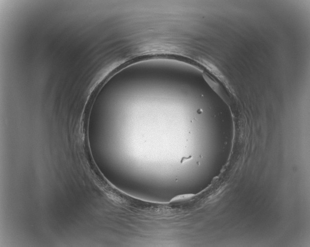 X0000067520885200604150157