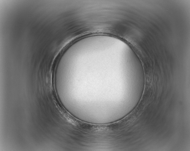 X0000067520886200604150157