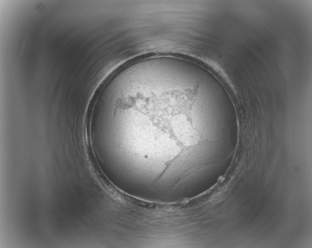 X0000067520887200604150157