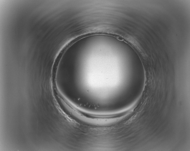 X0000067520888200604150157