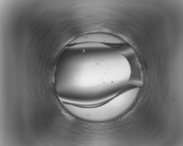 X0000067520889200604150157