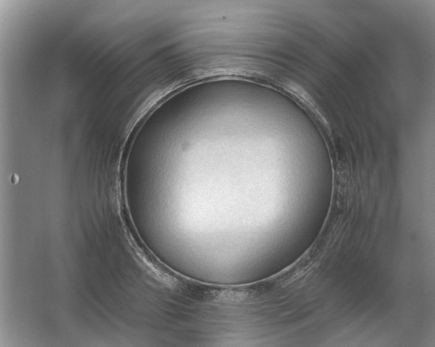 X0000067520890200604150157