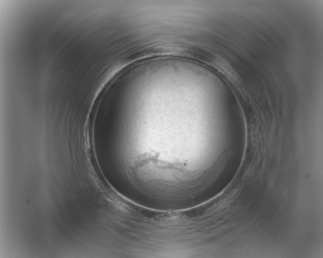 X0000067520891200604150157