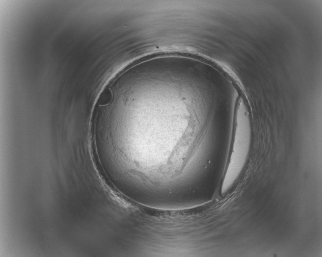 X0000067520895200604150157