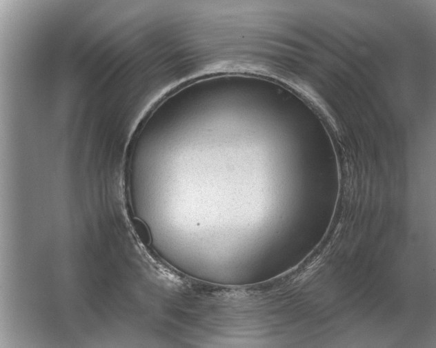 X0000067520896200604150157