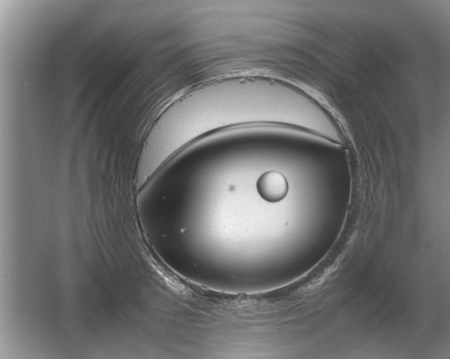 X0000067520897200604150157