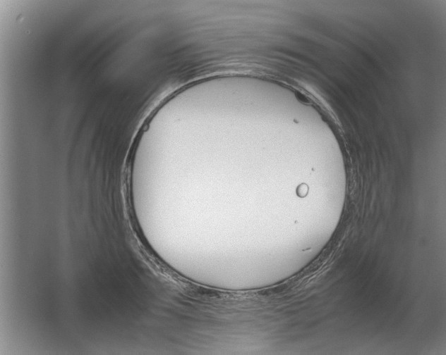 X0000067520899200604150157