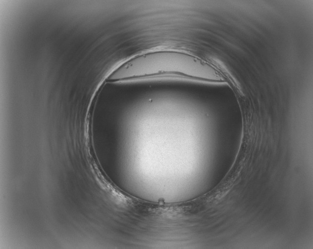 X0000067520900200604150157