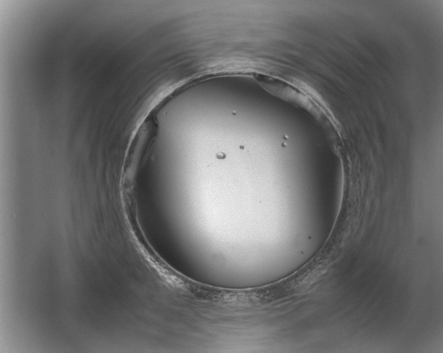 X0000067520901200604150157