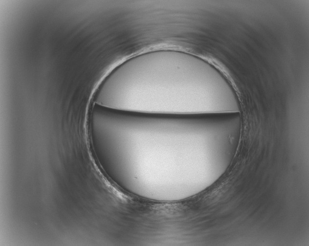 X0000067520902200604150157