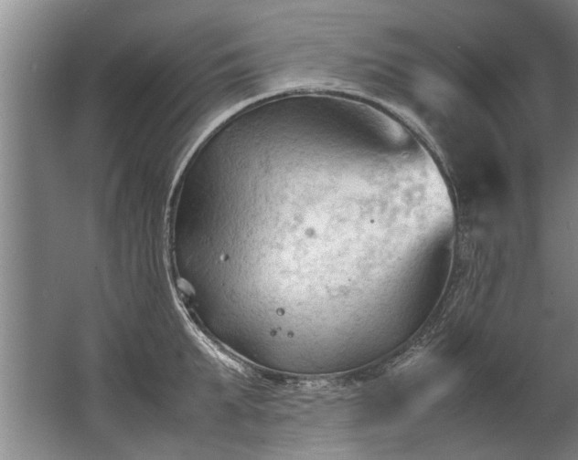 X0000067520903200604150157