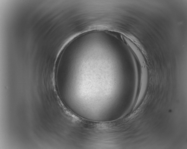 X0000067520904200604150157