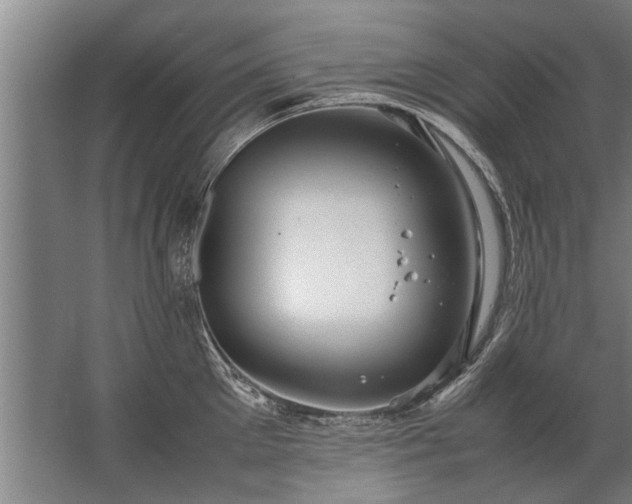 X0000067520905200604150156