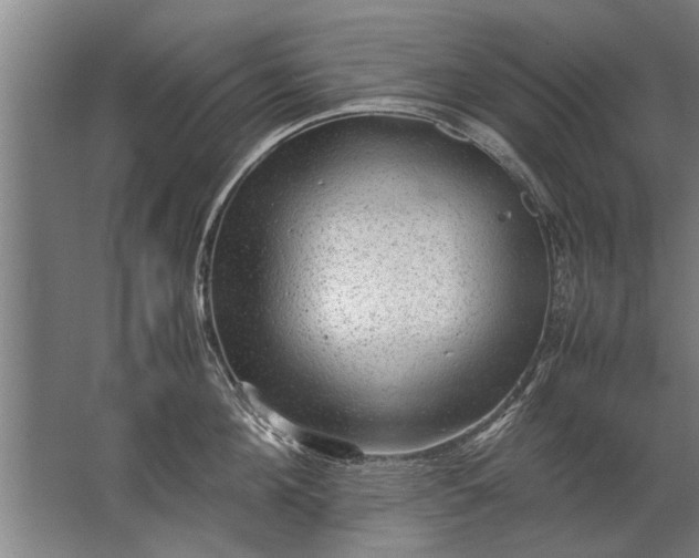 X0000067520908200604150156